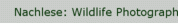 Nachlese: Wildlife Photographer